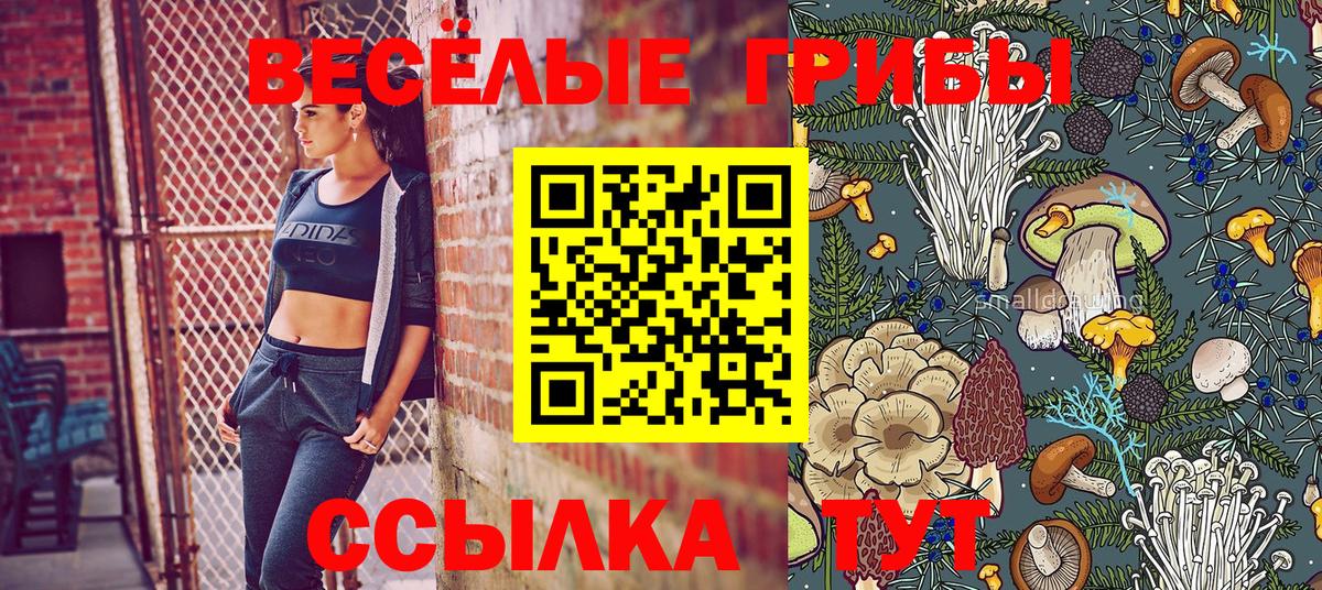 Псилоцибиновые грибы Psilocybine cubensis  Вход с VPN  Тейково 