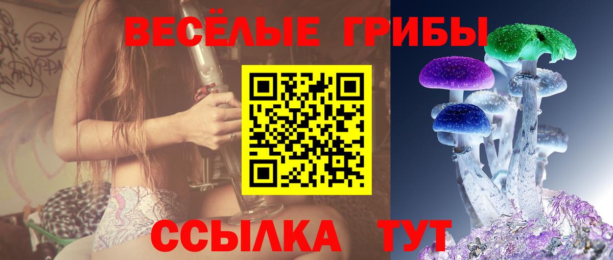 Галлюциногенные грибы прущие грибы Тейково